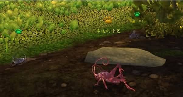 一周要闻回顾：国服同步更新 慈善宠物上线