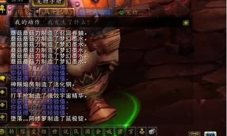 天界哥的发现：宠物对战没用,一次十几点经验