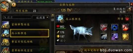宠物狐狸.jpg