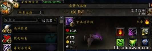 宠物岩石蜘蛛.jpg