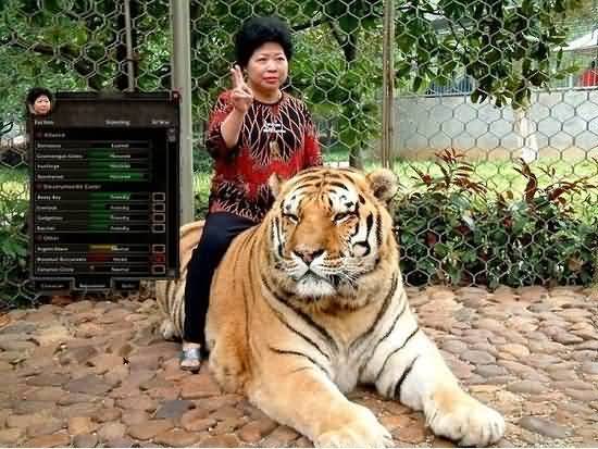 狂霸酷拽炫！魔兽世界绝妙特效装饰道具大全