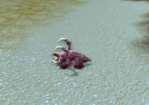 跳虫来袭!魔兽世界国服宠物之王大赛神秘宠物揭晓