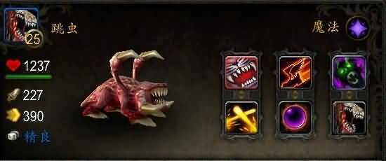 宠物之王大赛神秘宠物揭晓