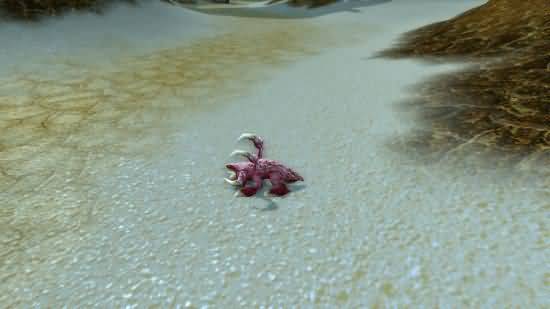 宠物之王大赛神秘宠物揭晓