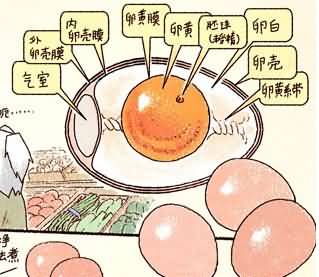咬人画的魔兽同人作品：生活随笔,宅人病号餐