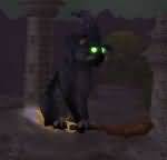 315734.jpg
