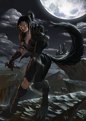 魔兽世界《女狼人盗贼》