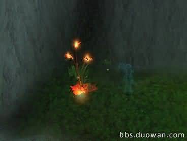 33.jpg