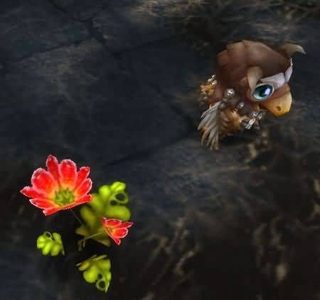 《魔兽世界》趣味小宠物特点介绍与来源一览