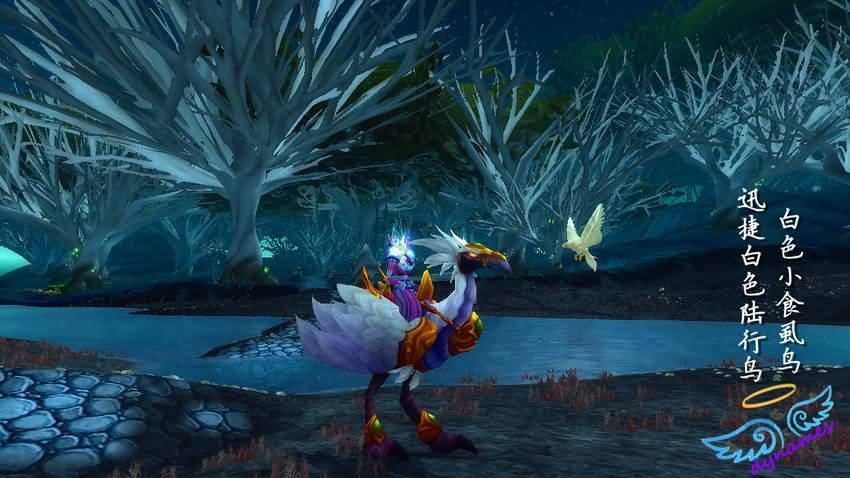 幻化推荐：法师专属紫色魔幻系布甲幻化