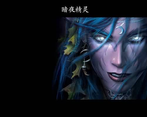 生命不息幻化不止：魔兽全种族幻化欣赏