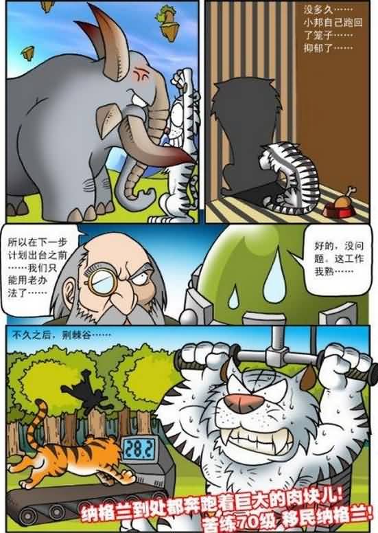 点击浏览大图