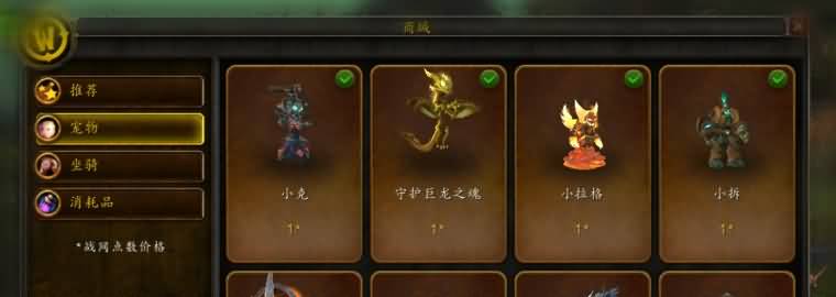 宠物和坐骑 游戏内也能买！