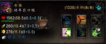 魔兽世界宠物对战：亡灵克星 双蛙携手亡灵退走