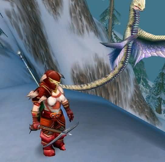 魔兽世界奇葩事件之女猎人