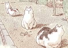 漫画:咬人画的生活随笔《老家的野猫》