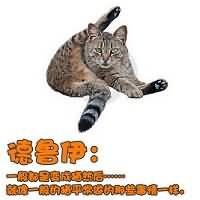一图流：WOW各职业厕所开过大之后如何处理