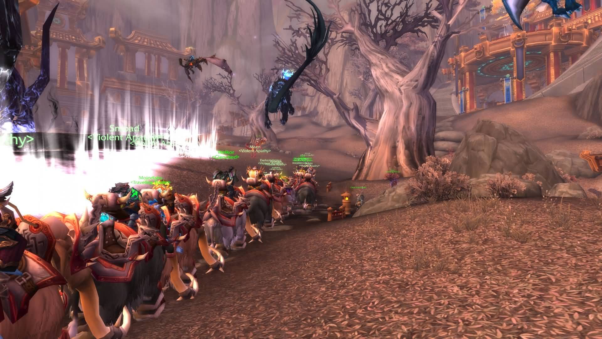 1730475.jpg