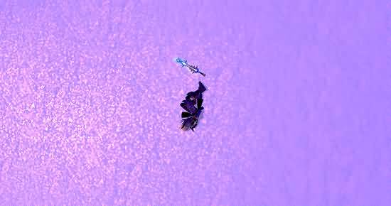 暴雪的成功并不是魔法：努力工作与开放思维
