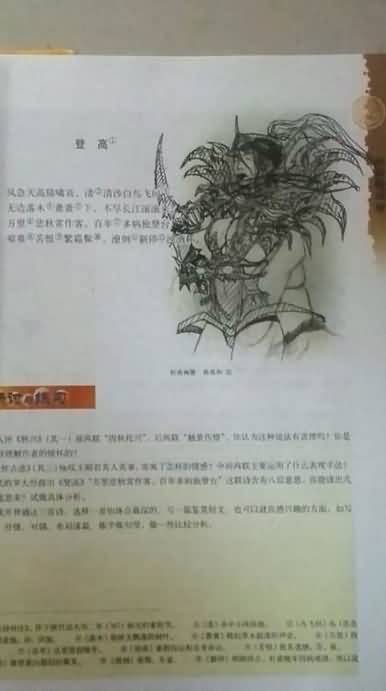 点击浏览大图
