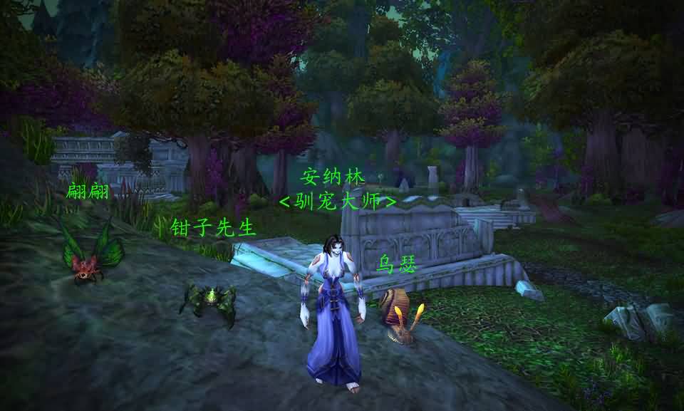 派恩少校的高级宠物训练：亡灵训宠师安纳林