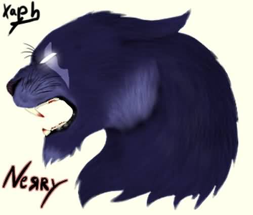 5.4德鲁伊PVP：猫德香炉党经验交流