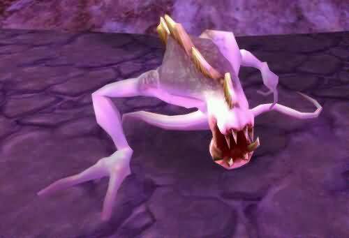 \