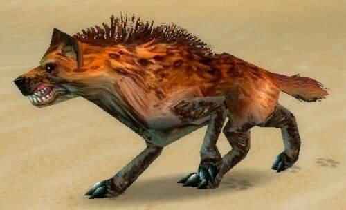 \