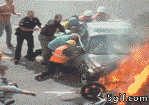 02.gif