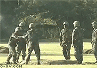 01.gif