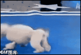 05.gif
