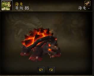 火乌龟