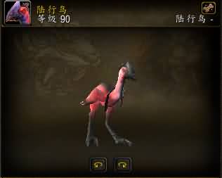 32.jpg