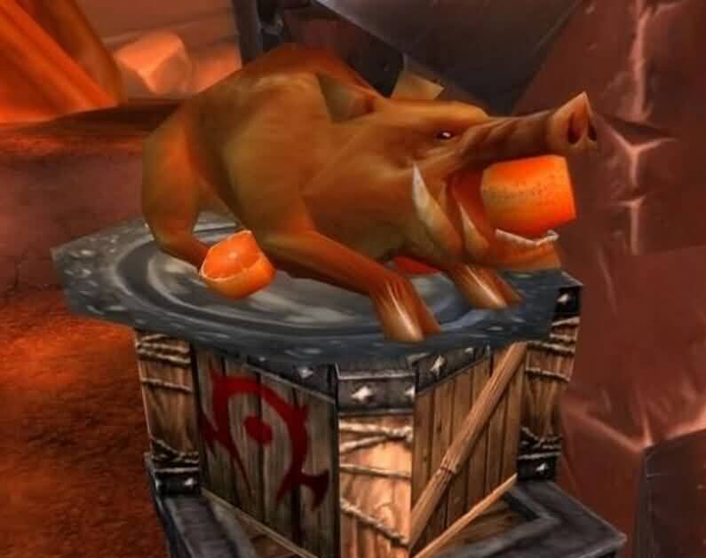 \