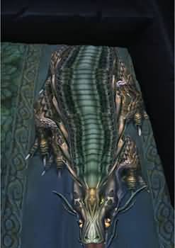\