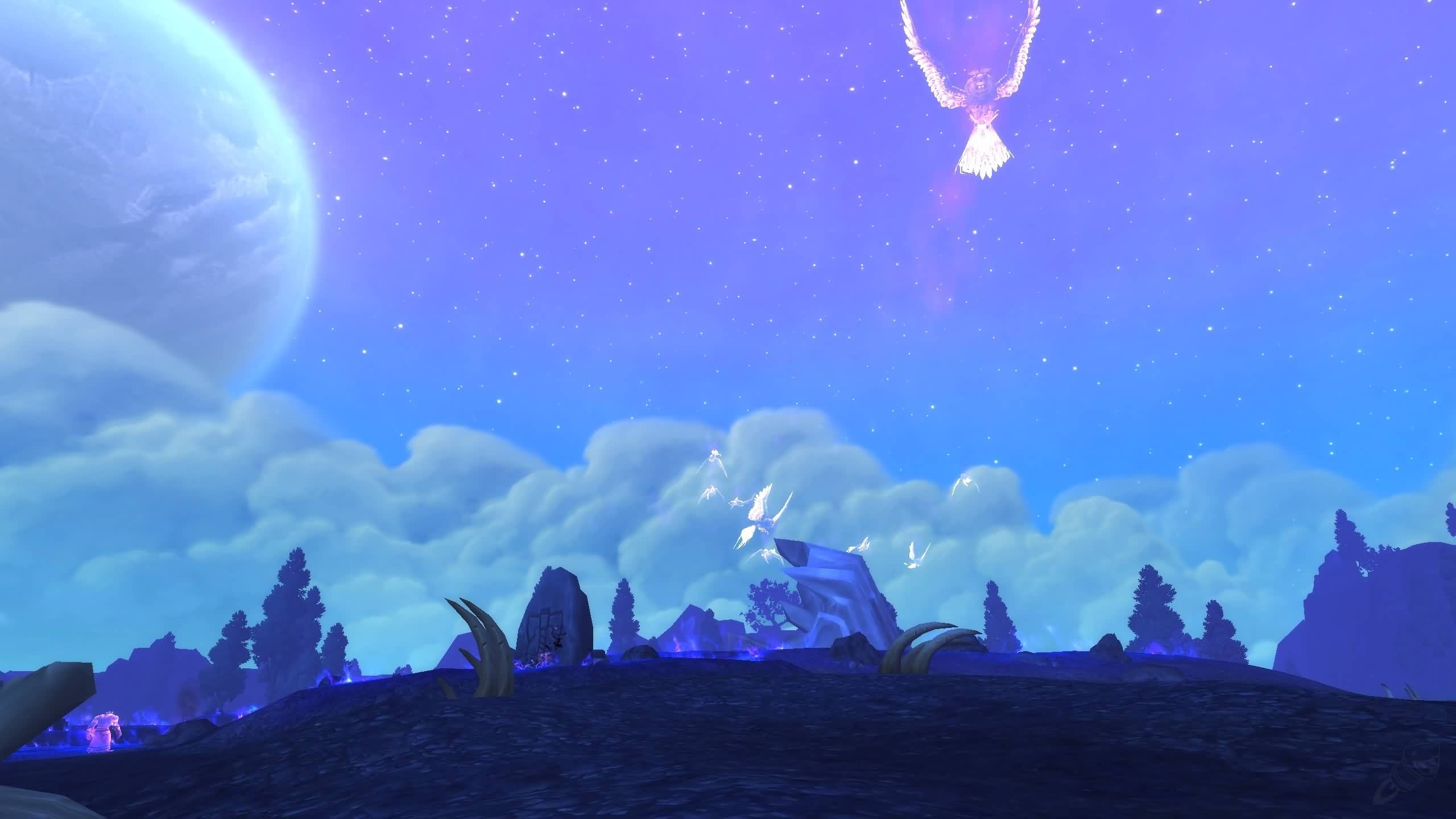 406076.jpg