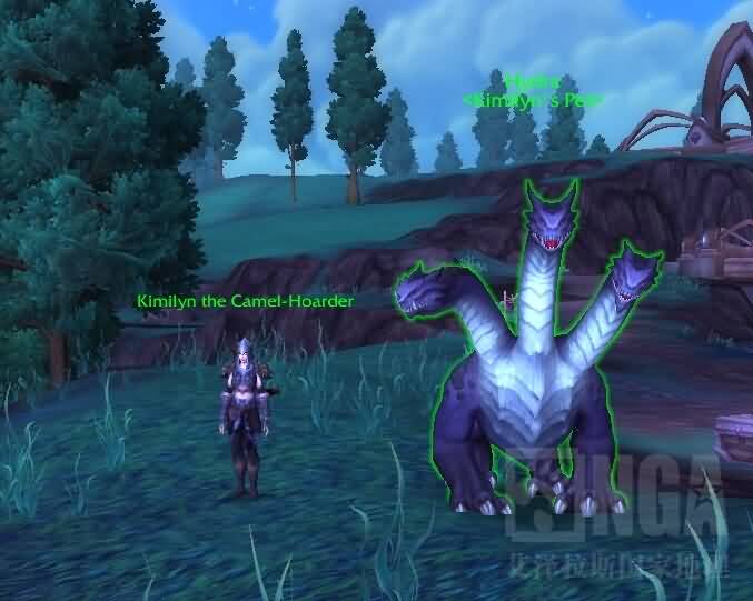 魔兽WOD新增猎人宠物实测:Hydra,Riverbeast,Rylak