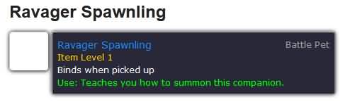 3100553.jpg