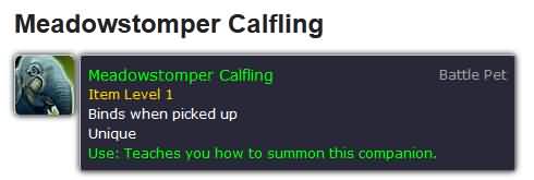 3100538.jpg