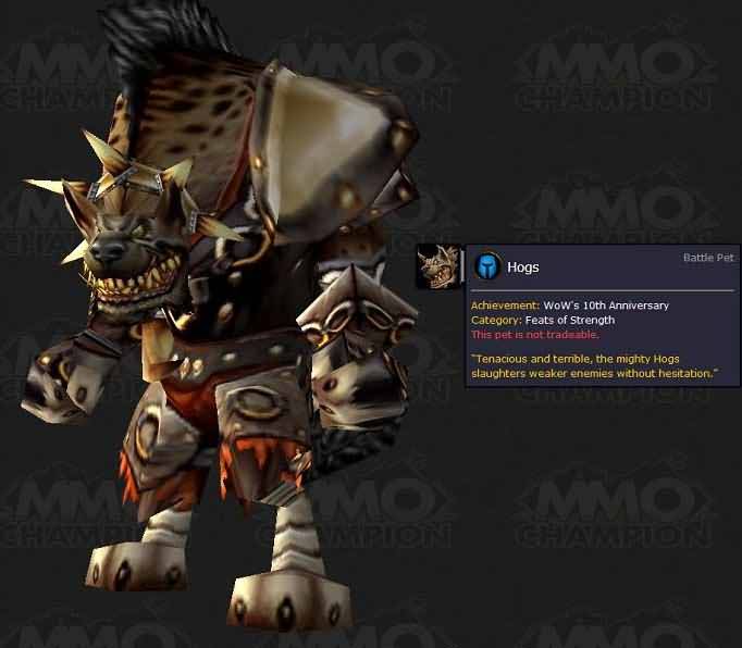 hoggerPet.jpg