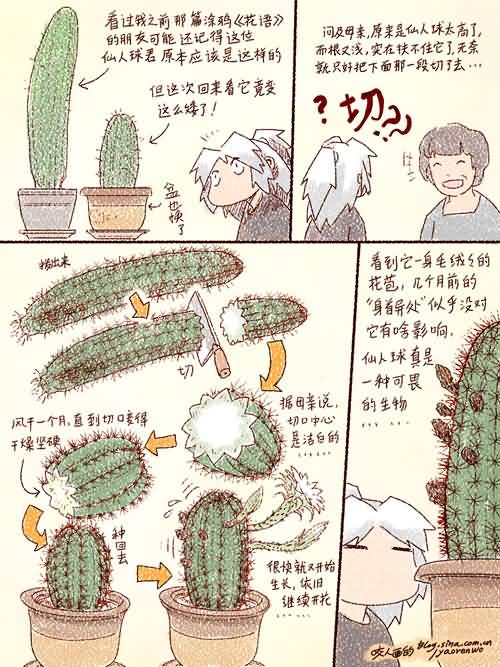 点击浏览大图