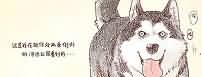 咬人的生活随笔：关于协调性