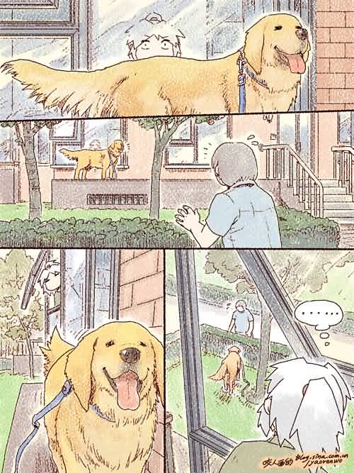点击浏览大图