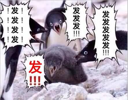 蠢萌少年的wow回忆录！那边的少年~
