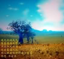 被遗忘的时代：留在魔兽的记忆