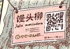 咬人画的生活随笔:新的铭牌