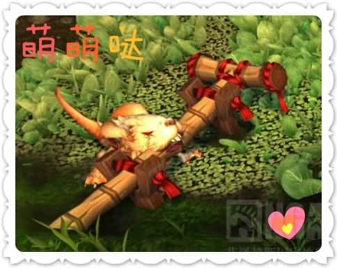 AKF玩家游记：游历潘达利亚迷雾下的世界之二——四风谷