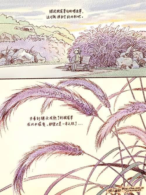 点击浏览大图