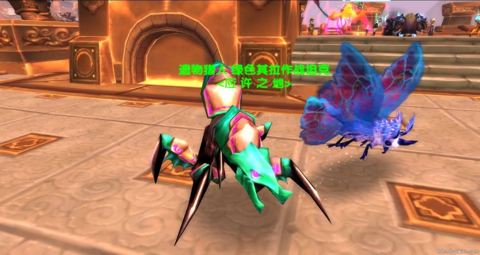 02.jpg