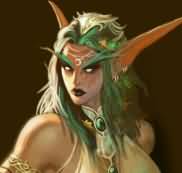 魔兽世界夜精灵妹子与盔甲战士